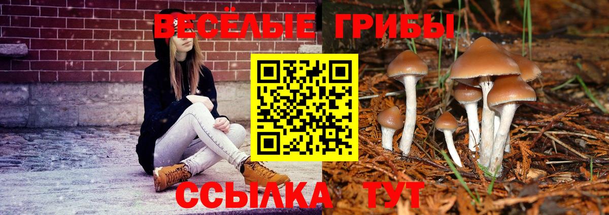 Псилоцибиновые грибы прущие грибы  Галлюциногенные грибы мухоморы  Вход с VPN  Владимир 